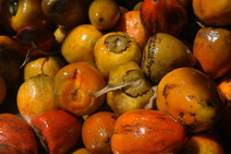 Fruta del pejibaye