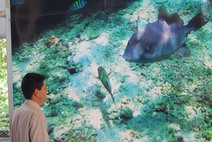 Joven observa cartel del fondo marino