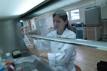 Mujeres científicas