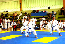 Presentación karate