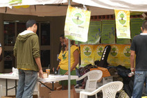elecciones FEUCR 2010