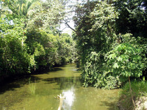 Parque Nacional Corcovado