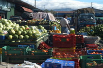 Congreso Seguridad Alimentaria Escuela de Nutrición