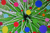 Naturaleza comprendida