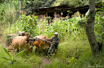 Fotografía de Iris Odio