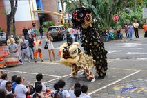 Danza de los leones