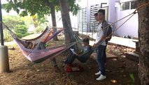 hamacas