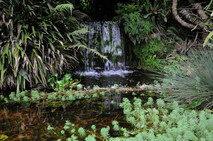 Jardín Botánico Lankester