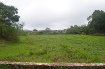 Espacio donde antes estaba el estanque