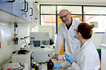Dr. Matthias Driess laboratorio