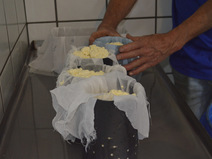 Preparación de quesos