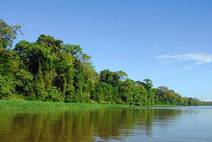 Tortuguero