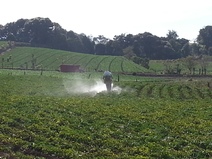 aplicación de plaguicidas
