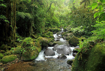 la rebamb es un laboratorio que ha servido para que especialistas y estudiantes realicen sus investigaciones (foto tomada de: http://concursofotografiarebamb.blogspot.com). 