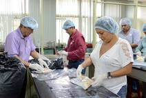 Personas participando de taller de hongos ostra