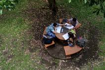 quienes participaron del proceso de concurso a carrera pueden consultar los resultados en www.ori.ucr.ac.cr 