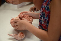 según la organización mundial de la salud (oms) aproximadamente uno de cada 100 niños en el mundo tiene autismo. el 2 de abril de cada año se conmemora el día mundial de concienciación sobre el autismo con el objetivo de visibilizar este tema y hacer conciencia sobre lo que falta por hacer para asegurar la integración social de las personas con autismo. 