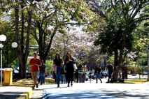 Campus Rodrigo Facio