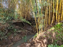 Quebrada Los Negritos