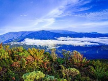 Cerro Utyum, Talamanca