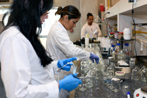 Feria de Vinculación para la Empleabilidad 2025