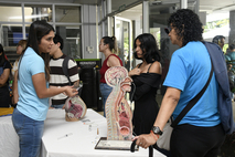 Feria Vocacional UCR 