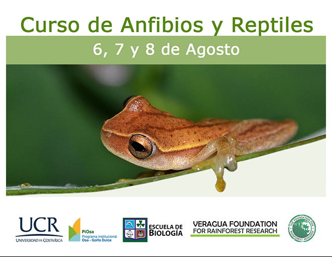Profesores: M.Sc. Federico Bolaños, Lic. José Andrés Salazar, profesores,Escuela de Biología …