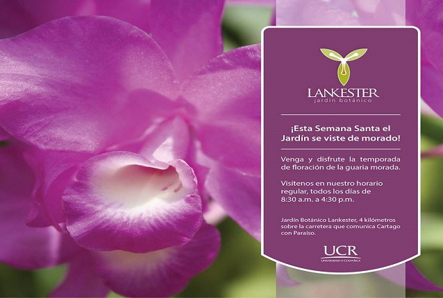  El Jardín Botánico Lankester comunica que permanecerá abierto en horario normal durante la …
