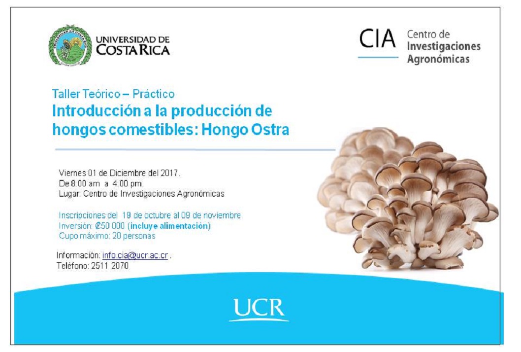  Duración: viernes 1 de diciembre, de 8:00 a. m. a 4:00 p. m. en el Centro de Investigaciones …