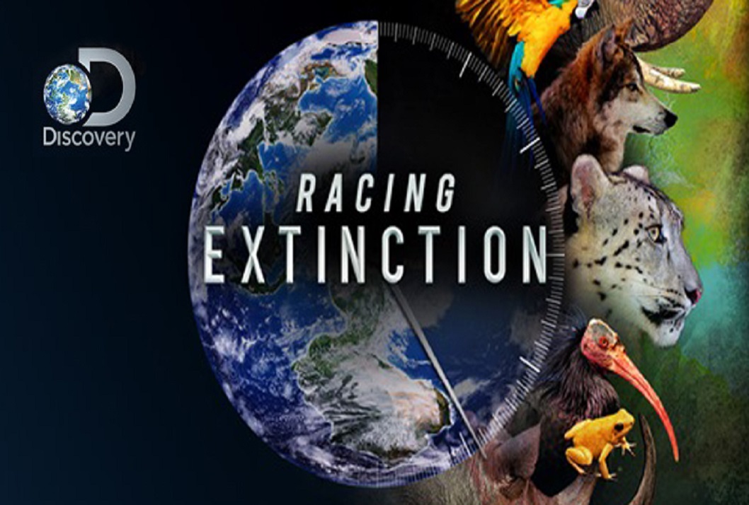  Racing Extintion: Camino a la Extinción. (2015. EE.UU. Documental)   