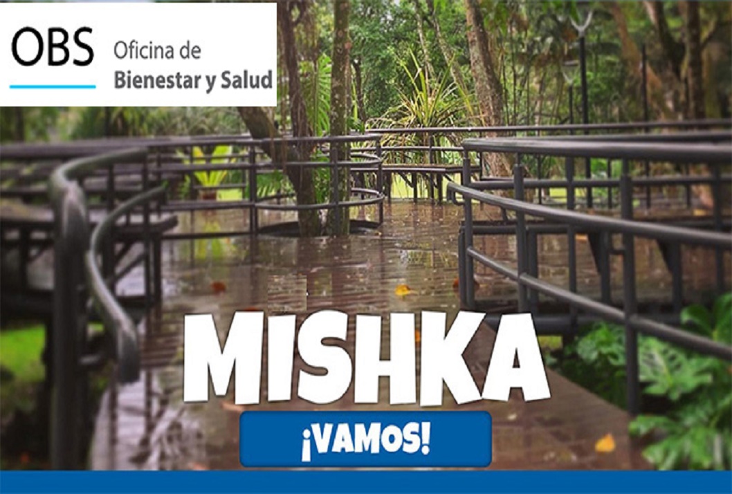  Invitamos a las personas profesionales que deseen unirse al Proyecto Míshka, pueden inscribirse …