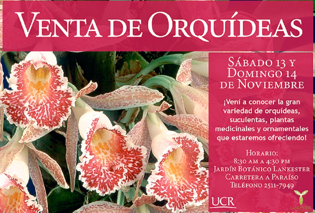  Venta de Orquídeas, suculentas, plantas medicinales y ornametales  