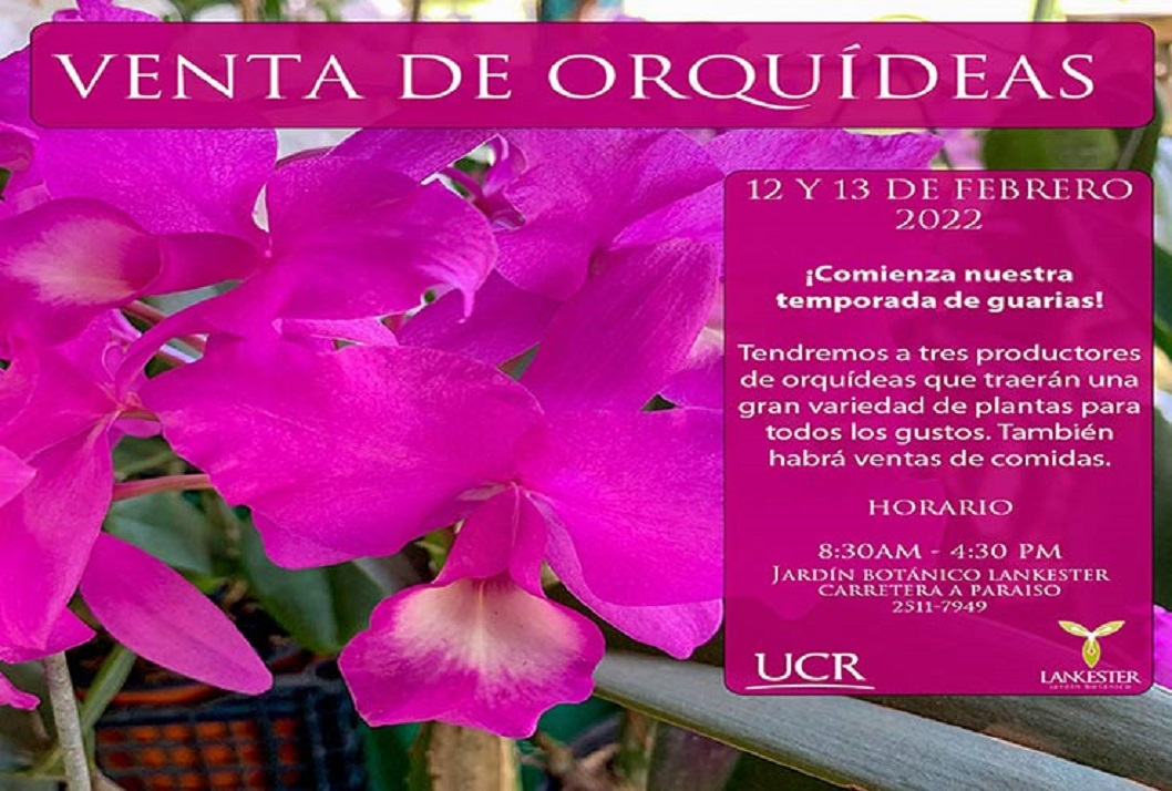  Tendremos a 3 productores de orquídeas que traerán una gran variedad de plantas para todos los …