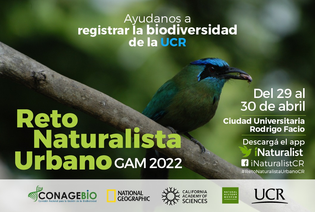  Ayúdanos a registrar toda la biodiversidad del Gran Área Metropolitana y a representar a Costa …