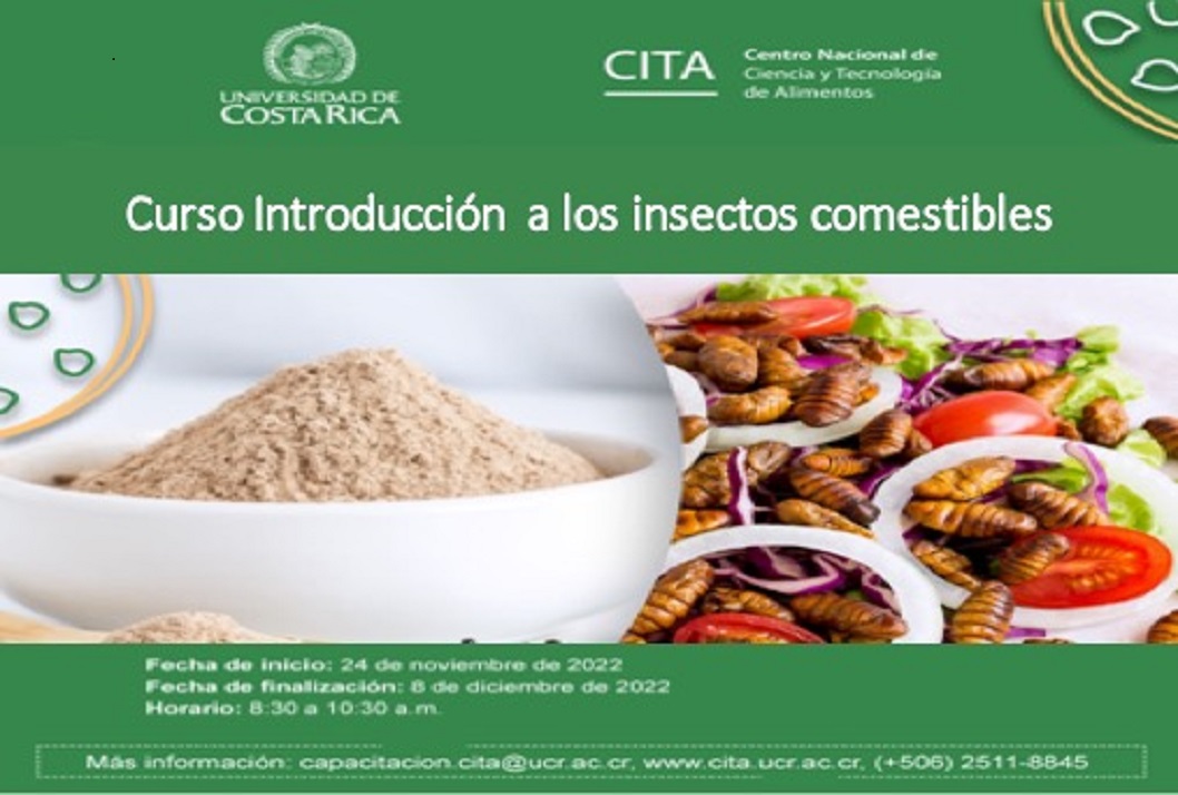 Cursos: Introducción a los insectos comestibles Inicio del curso: 24 de noviembre, 8:30 a. m.(virtual)