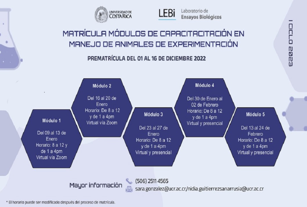 Duración: del 9 de enero al 24 de febrero del2023 (virtual y presencial)