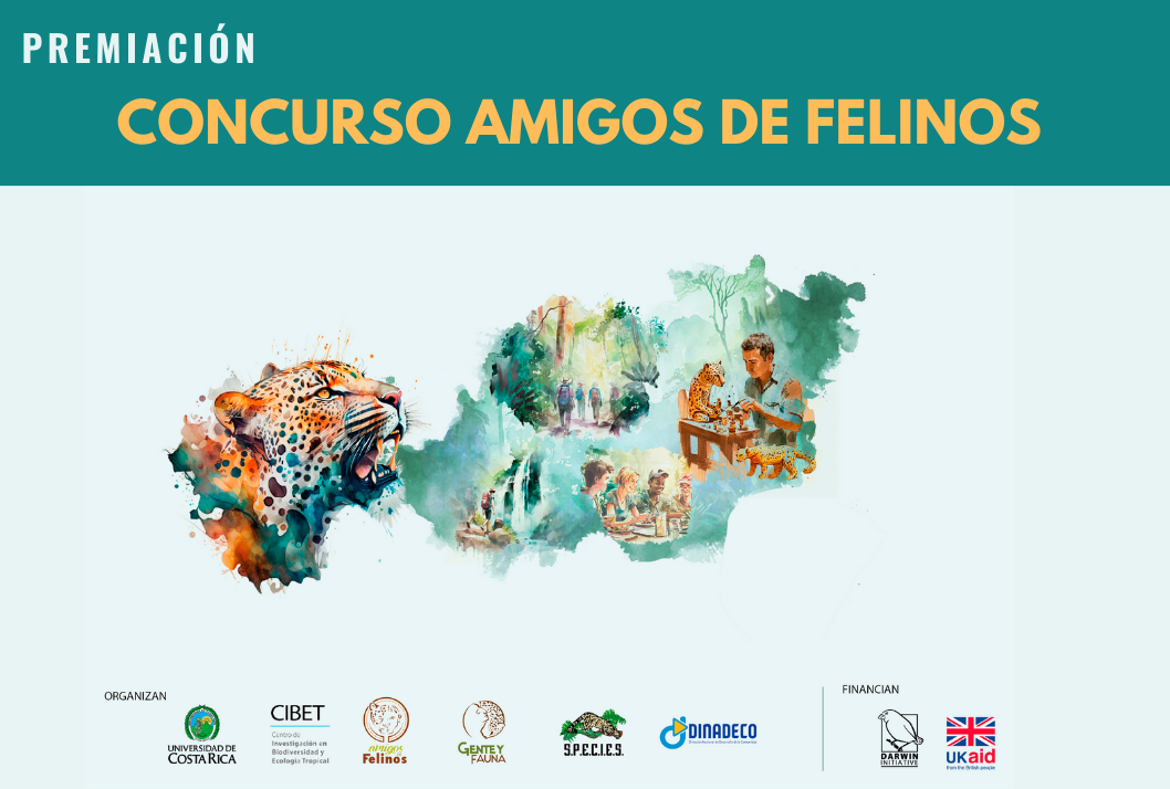  Queremos que todos y todas sean parte de esta gran celebración en el Día Nacional del Felino …