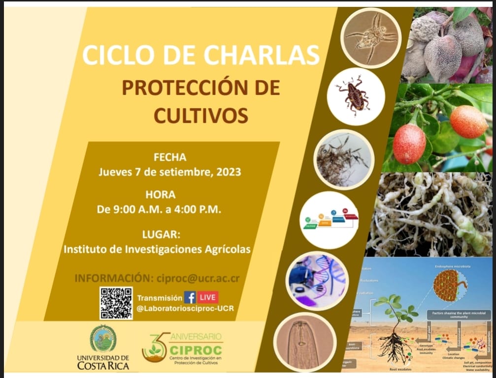  En conmemoración al 35 aniversario del CIPROC  