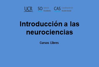  Introducción a las neurociencias Matrícula: del miércoles 10 de enero a las 9:00 a. m. al martes …