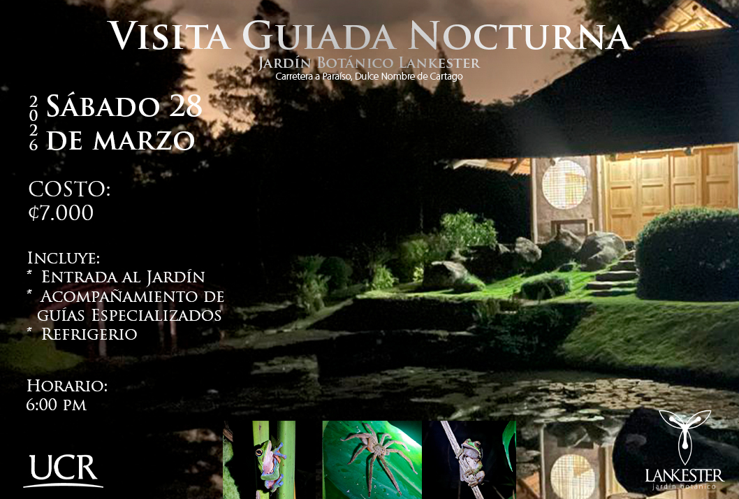 Comunicado: Visita guiada nocturna en el Jardín Botánico Lankester Incluye:- Entrada al Jardín Botánico Lankester- Acompañamiento de guías especializados- …