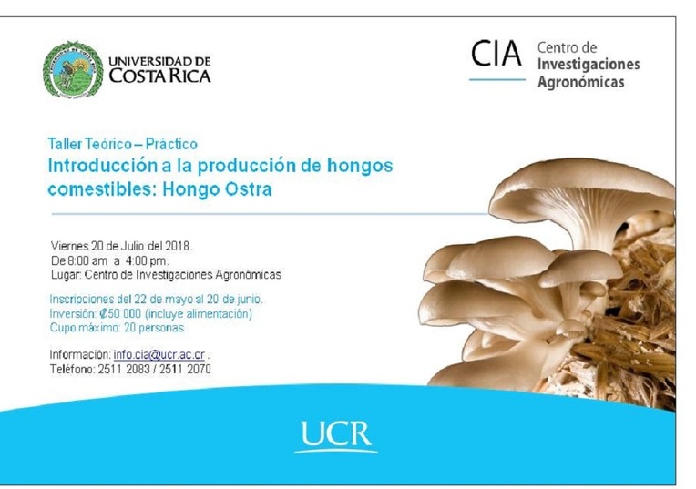 Taller: Teórico-práctico: Introducción a la producción de hongos comestibles: Hongo Ostra