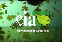 El Centro de Investigaciones Agronómicas se creó el 1 de diciembre de 1955. Desde entonces ha …