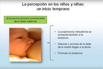 Charla Influencia del estilo de crianza en los hábitos de consumo y preferencia de alimentos de …