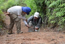 Los estudiantes que cursan último año en la carrera de Geología en la UCR deben asistir …