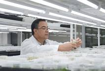 El Dr. Arturo Brenes, coordinador del Laboratorio de Biotecnología de Plantas explicó los …