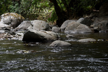 Un embalse puede resolver el problema de agua en el cantón de Abangares en Guanacaste
