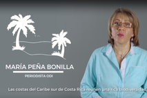 El pez león es una especie invasora que está causando serios problemas ecológicos, económicos y …