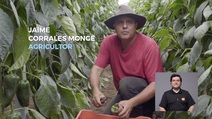 La Universidad de Costa Rica vincula su quehacer académico con las personas emprendedoras, …