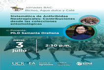  El Museo de Insectos de la UCR, les extiende la invitación a una nueva jornada BAC: Bichos, …